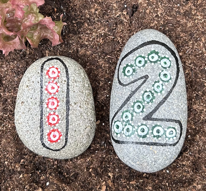 "Numbered Nature" — Hand-Painted Pebble Set
