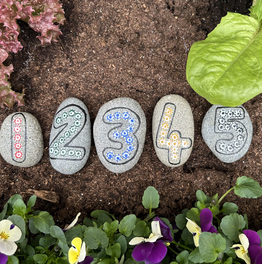 "Numbered Nature" — Hand-Painted Pebble Set