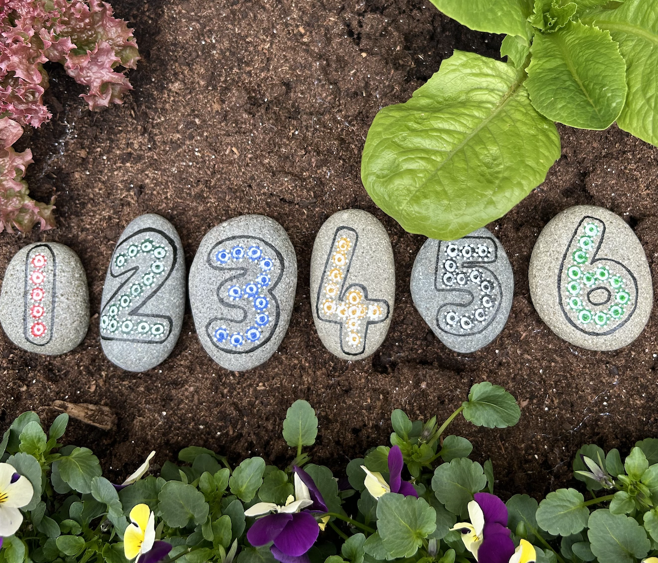 "Numbered Nature" — Hand-Painted Pebble Set