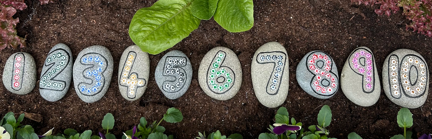"Numbered Nature" — Hand-Painted Pebble Set