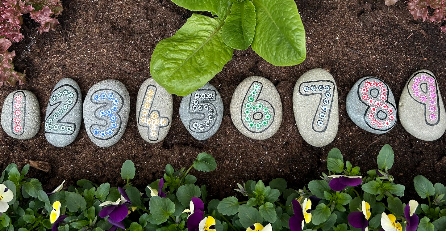 "Numbered Nature" — Hand-Painted Pebble Set