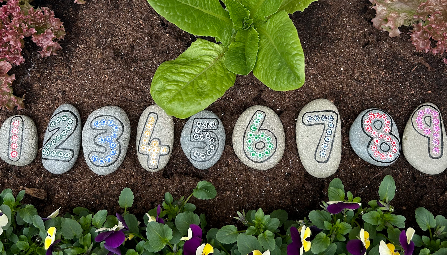 "Numbered Nature" — Hand-Painted Pebble Set