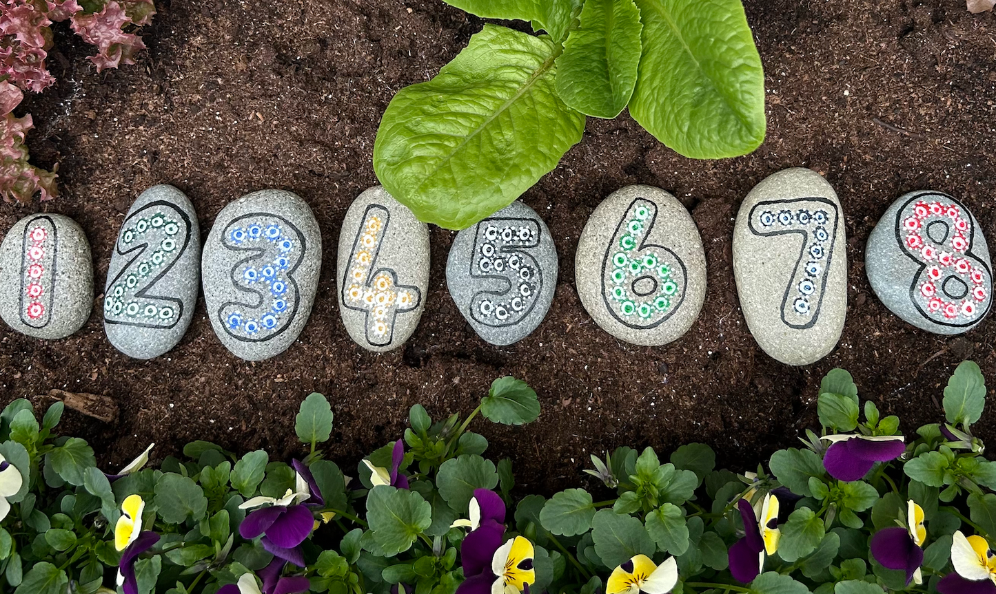 "Numbered Nature" — Hand-Painted Pebble Set